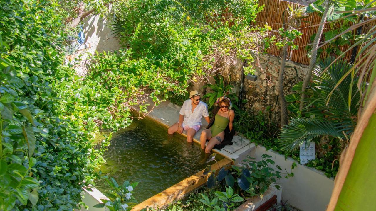 Kuka Y Naranjo Bed & Breakfast Merida Luaran gambar